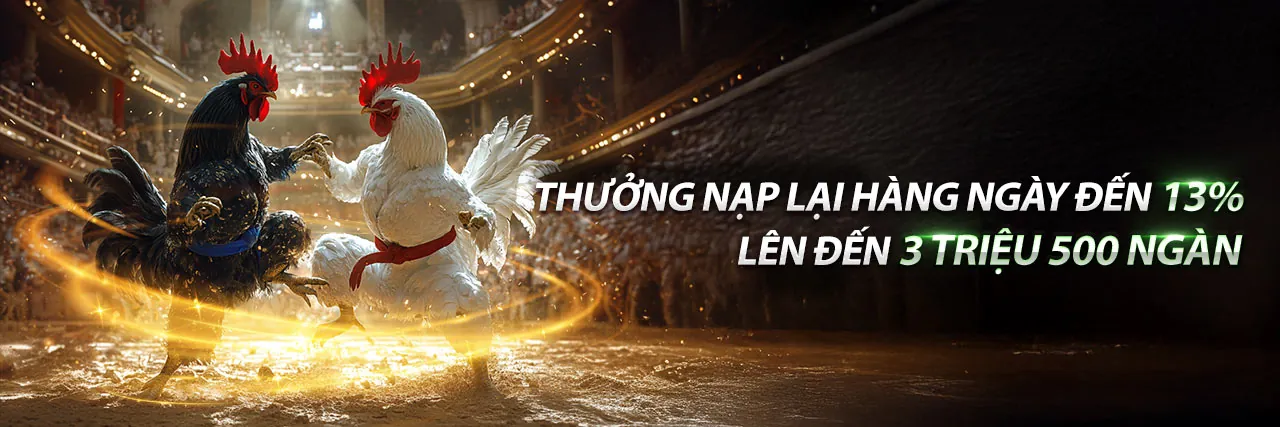 Đá Gà Trực Tuyến Hấp Dẫn tại vn66 game